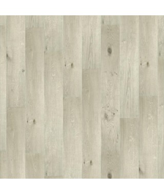 Oak Adagio