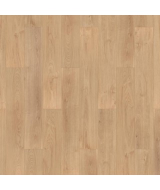 OAK BONN
