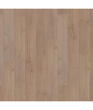 Oak Caliente