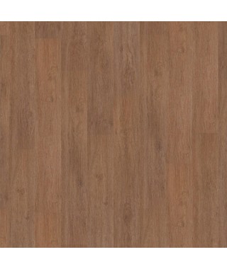 Oak Disco