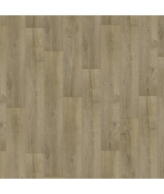 Oak Effect honey
