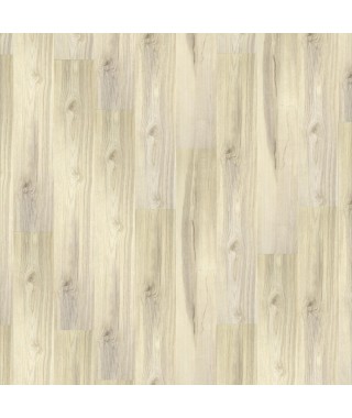 Oak Fiord
