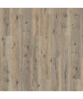 Oak Friday