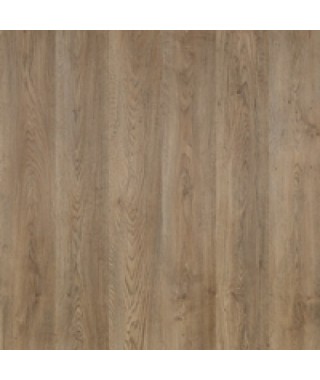 Oak Noble Light