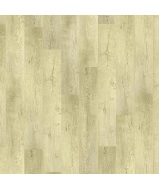 Oak Osorno
