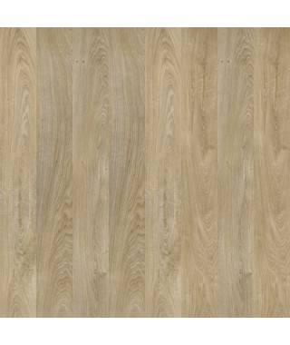 Oak Segway