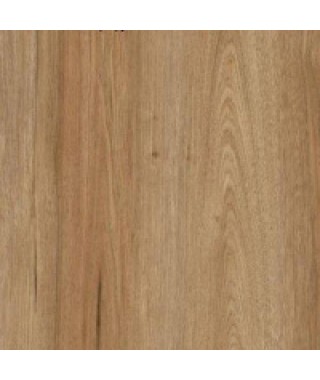 Дуб Бенгальский SF03 