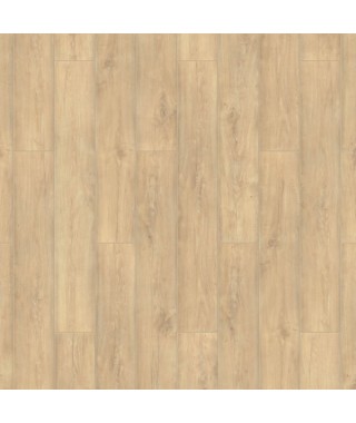 SFUMATO