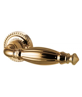 Bella CL2-GOLD-24