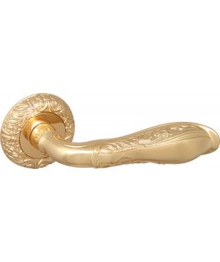 DINASTIA SM GOLD-24